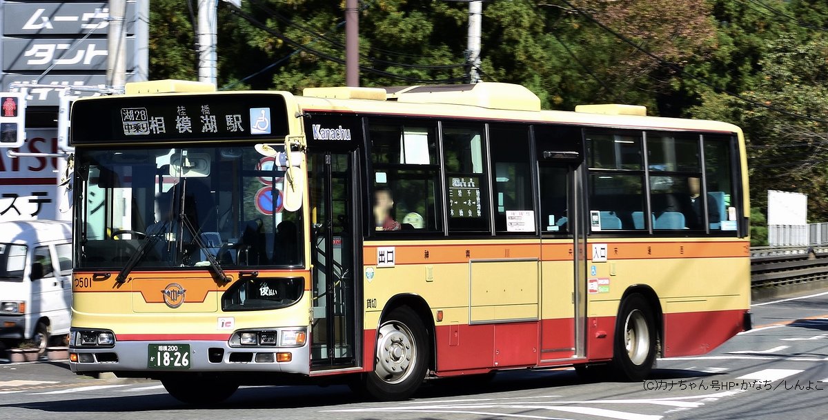 神奈中バス 旧 班長バッジ - その他