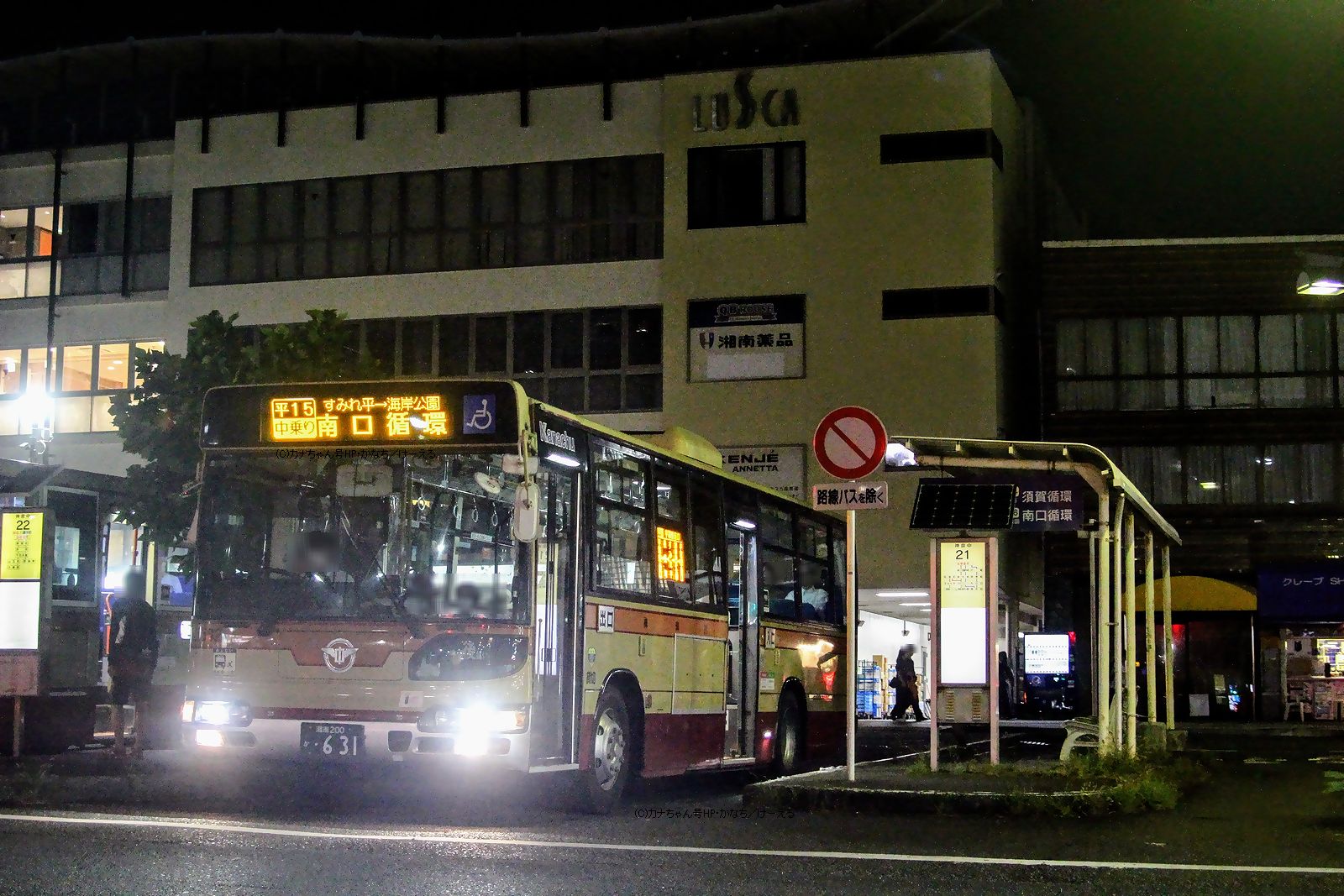 須賀 港 セール バス