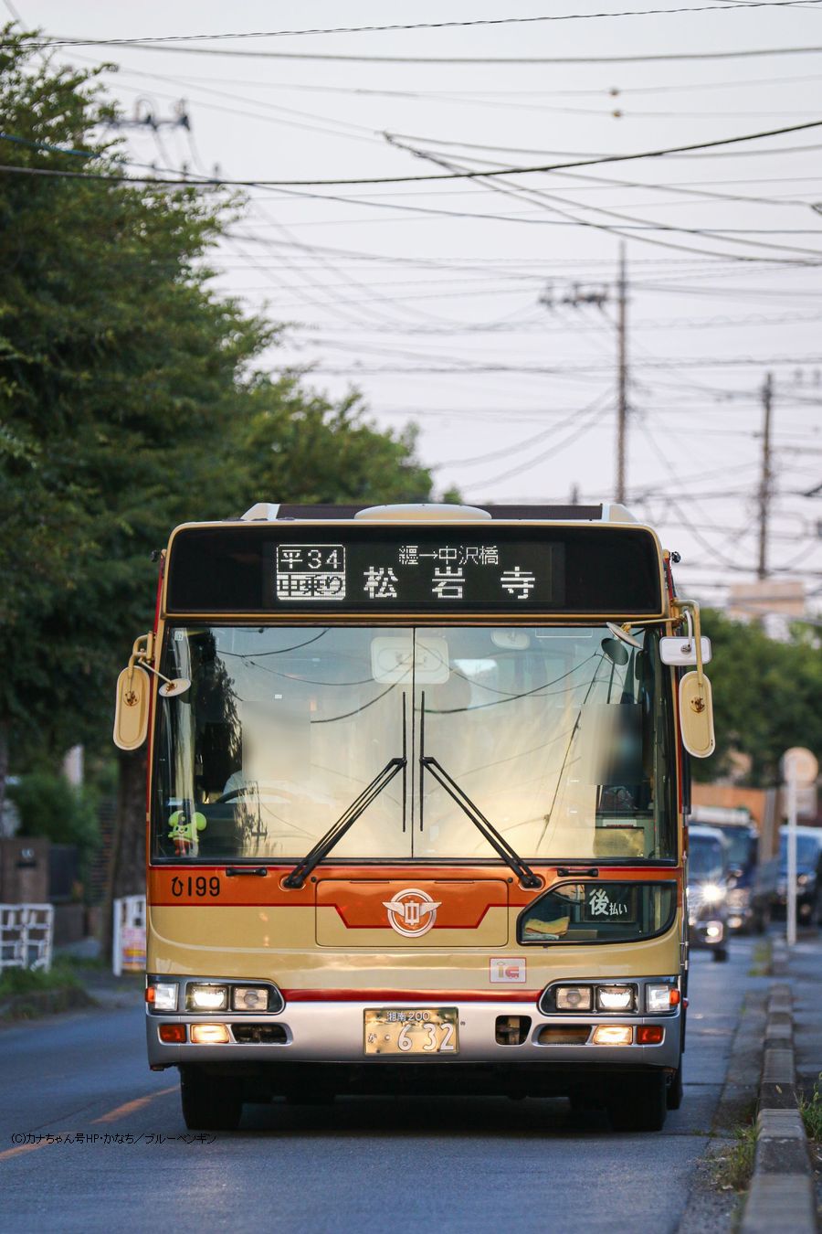 神奈川中央交通　日野ブルーリボシティ　運賃支払表示 バスの乗り方について | 路線バス | バス情報 | 利用者の皆さま